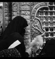 الصورة الرمزية Nazkul