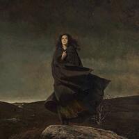 الصورة الرمزية شجرة.