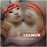 الصورة الرمزية YAĞMUR