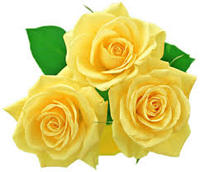 الصورة الرمزية زهرة المنتدى