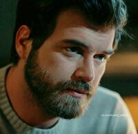 الصورة الرمزية KASSAR