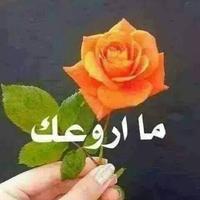 الصورة الرمزية اللامي2016