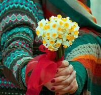 الصورة الرمزية ❀ نبتة النرجس ❀