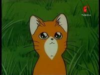 الصورة الرمزية ❀ نبتة النرجس ❀