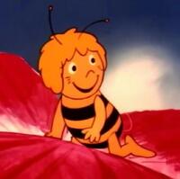 الصورة الرمزية أنا زينة