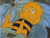 الصورة الرمزية ➼ Honey bee ➼