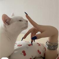 الصورة الرمزية مشمش‌