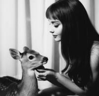 الصورة الرمزية مشمش‌