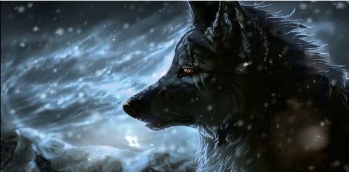 موسيقى الذئب و القمر موسيقى جميلة The Wolf And The Moon صوتيات