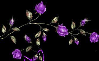 خلفيات بلون البنفجي 8597_purple_roses_happy_