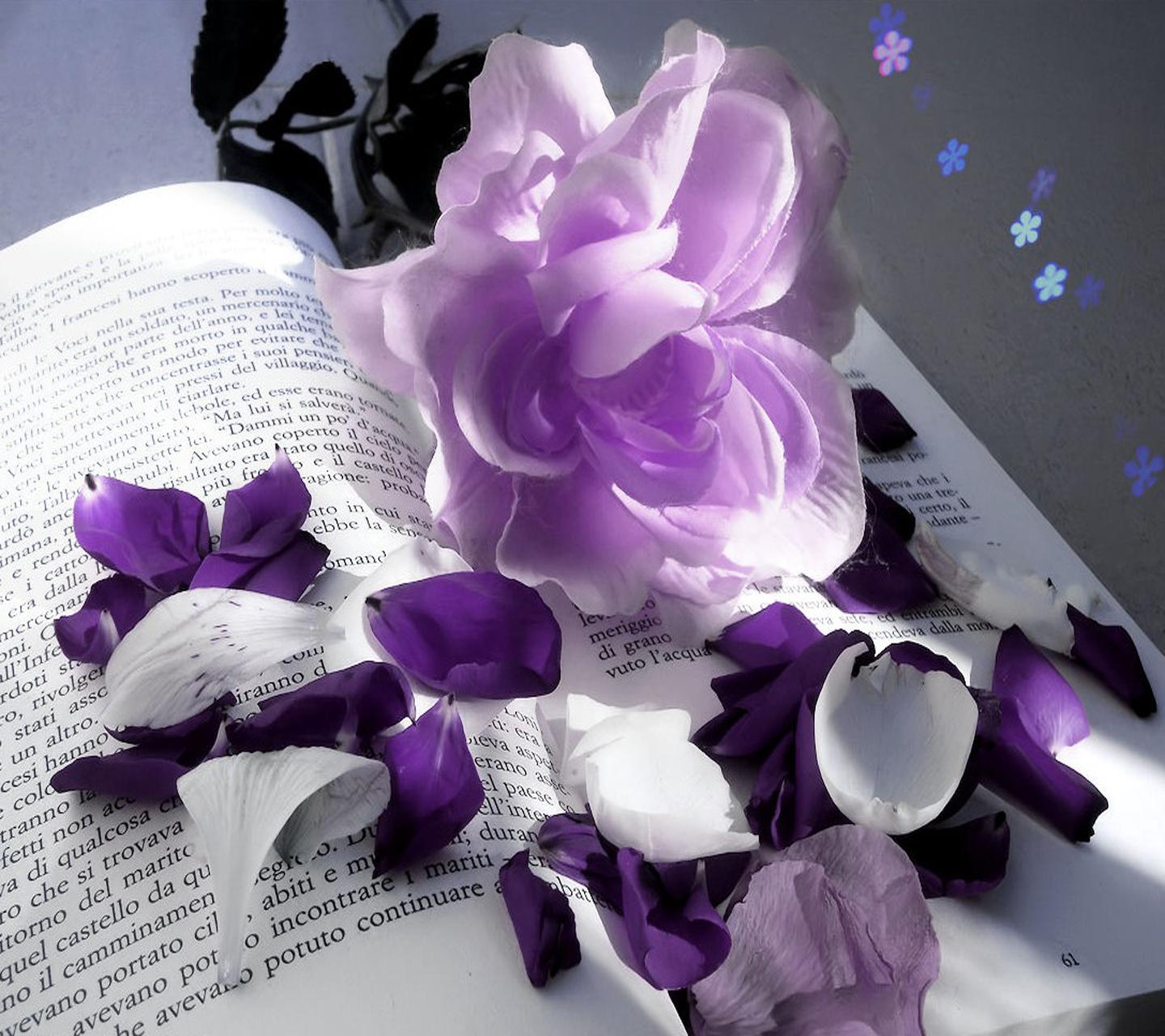 Фиолетовые цветы Эстетика