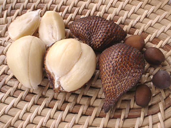 فاكهة الثعبان النادره  7242.bali_salak_fruits