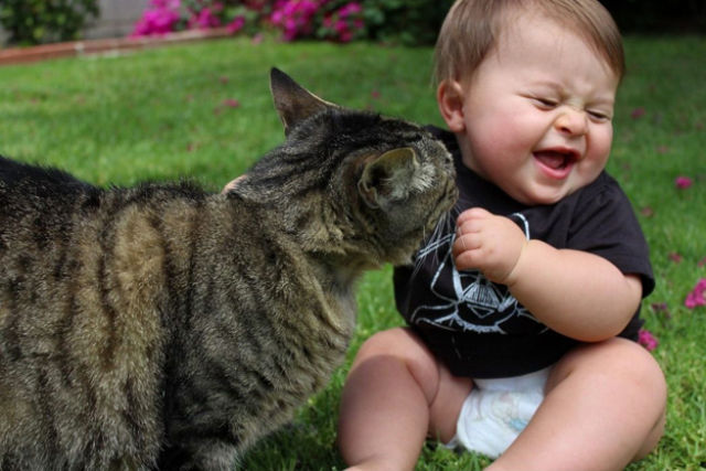 زينة الحياة الدنيا .. - صفحة 8 9771.babies_and_cats_being_too_cute_640_35