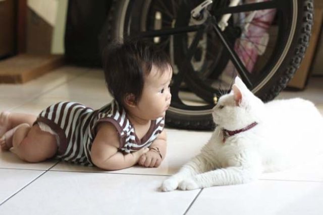 زينة الحياة الدنيا .. - صفحة 8 9771.babies_and_cats_being_too_cute_640_41