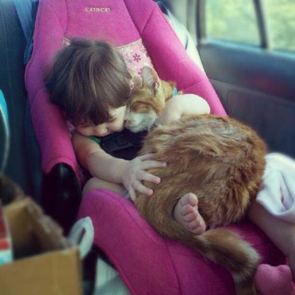 زينة الحياة الدنيا .. - صفحة 8 9771.babies_and_cats_being_too_cute_640_50