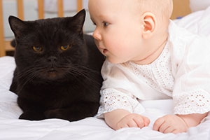 زينة الحياة الدنيا .. - صفحة 8 9771.cat-care-cats-and-babies