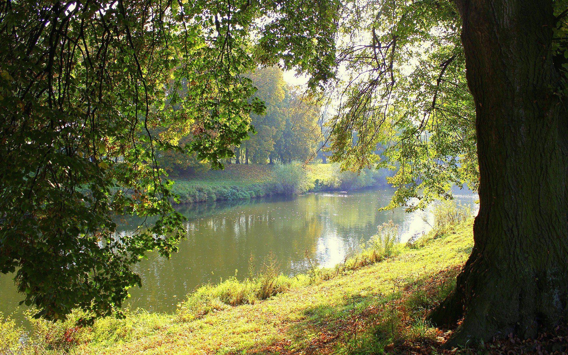 Около лета. Лето река. Природа лето речка. Лето Солнечный день река. Солнечный день на озере.