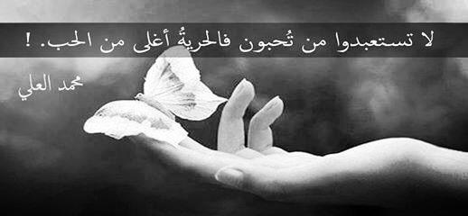 ابيض واسود - صفحة 13 Image7891011121314