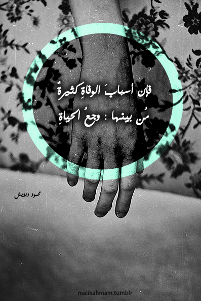 ابيض واسود - صفحة 37 49001.tumblr_mo01iwpnzu1s9ew0zo1_400