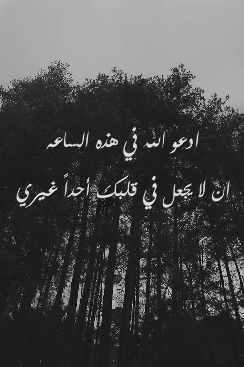 ابيض واسود - صفحة 70 49001.tumblr_ml53wklvrh1qgeuoqo1_500