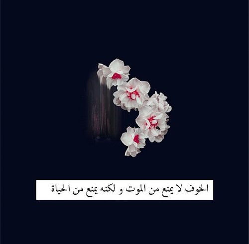 اقتباسات الحــيـاه - صفحة 4 1177.large__19_