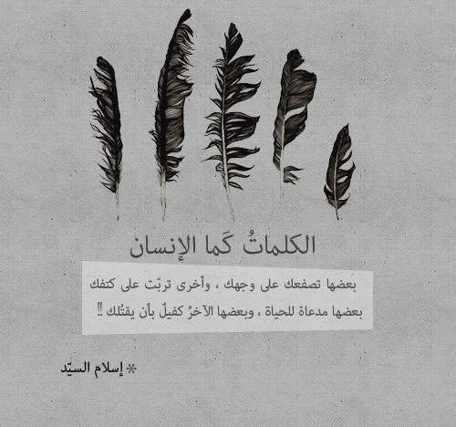 ابيض واسود - صفحة 39 49001.tumblr_md0z3ijfda1qldwuno1_500