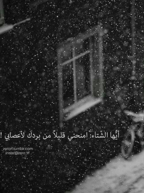 ابيض واسود - صفحة 69 64702.postat_on_winter