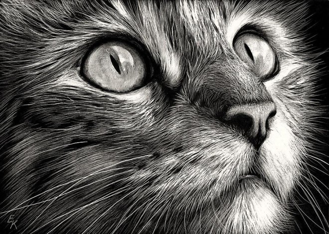 ●₪ مــــــزاجك "بصـــــورة" ₪● - صفحة 90 45037.1-cat-drawing-elena.preview