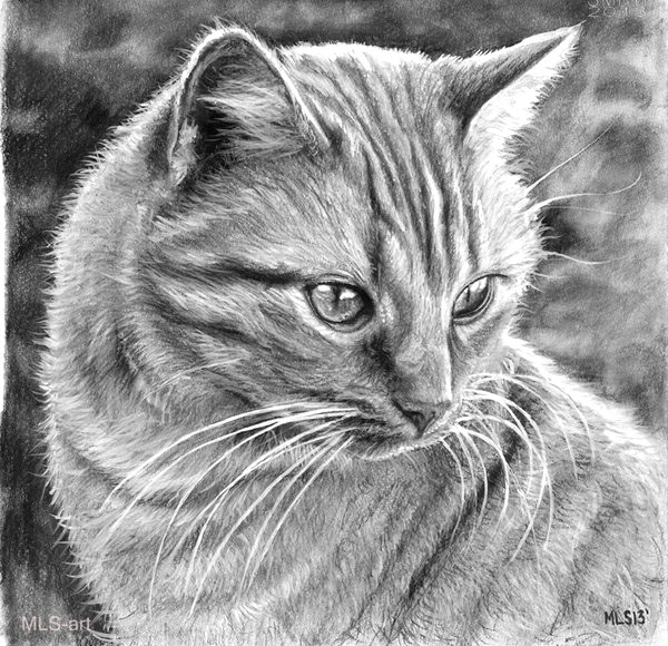 ابيض واسود - صفحة 81 45037.3-cat-drawing