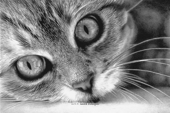 ●₪ مــــــزاجك "بصـــــورة" ₪● - صفحة 92 45037.4-cat-drawing-flanagan.preview