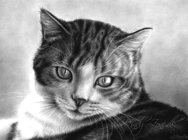 ابيض واسود - صفحة 83 45037.5-cat-drawings