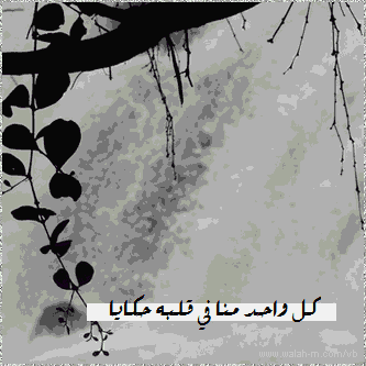 ●₪ مــــــزاجك "بصـــــورة" ₪● - صفحة 93 80455.________