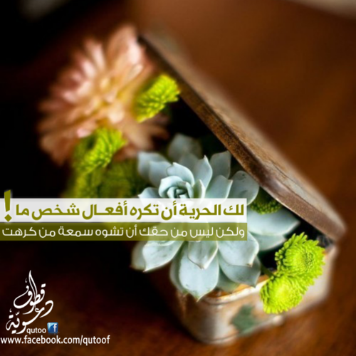 ●₪ مــــــزاجك "بصـــــورة" ₪● - صفحة 72 1177.filex7lvb_ysh