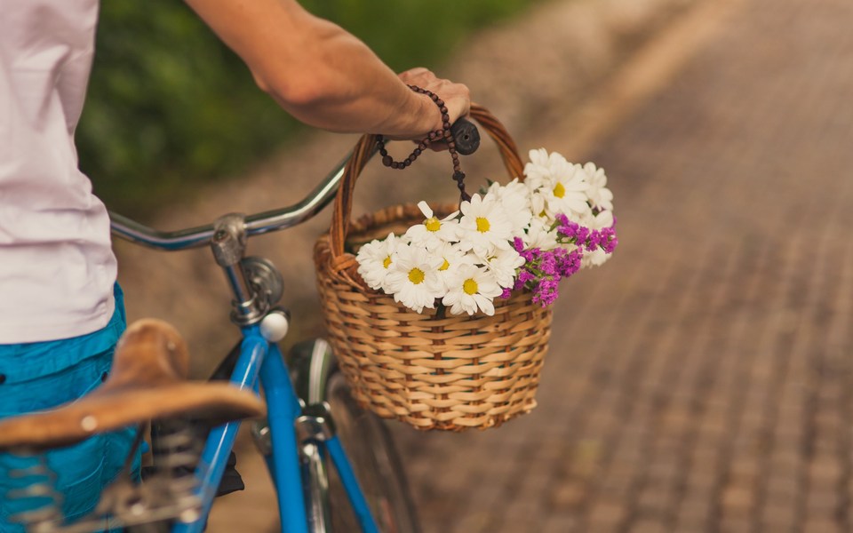 ●₪ مــــــزاجك "بصـــــورة" ₪● - صفحة 74 1177.flowers-daisy-basket-photo-vintage-bike-classic-hd