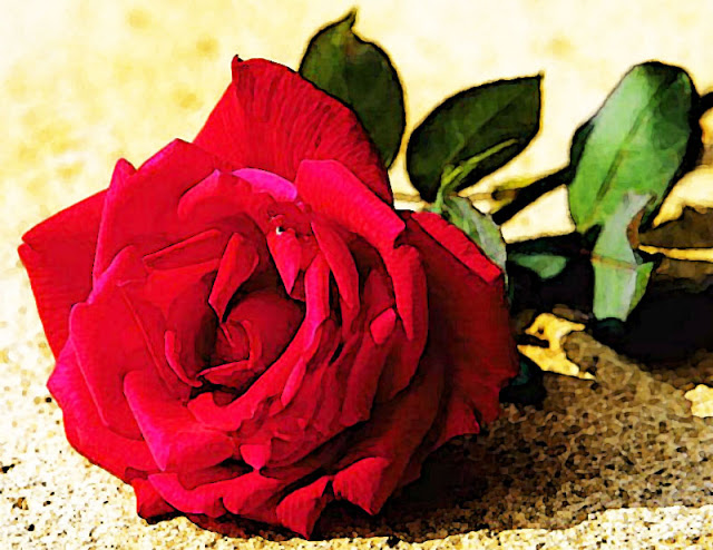 ●₪ مــــــزاجك "بصـــــورة" ₪● - صفحة 84 63630.82293.red-rose-art-wallpaper