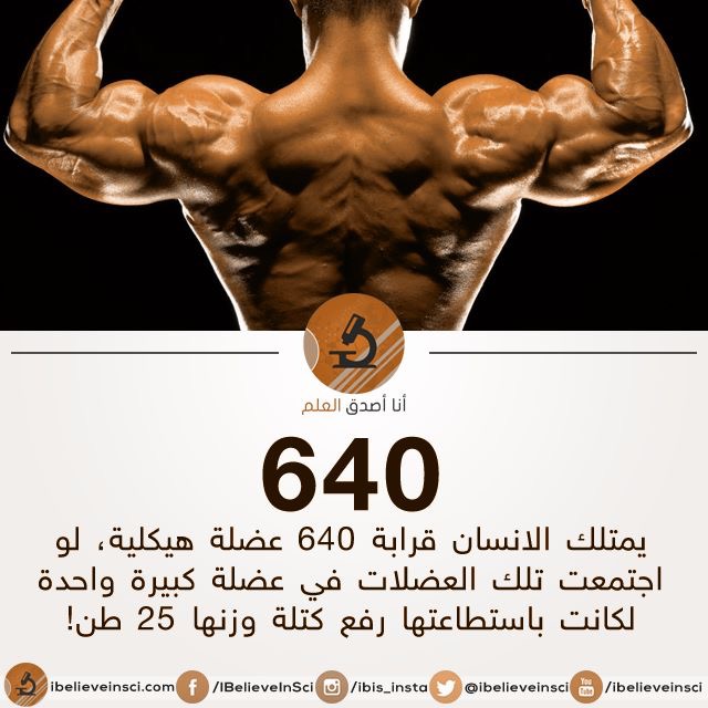  مجرد ارقام !! 10289.image64656667686970