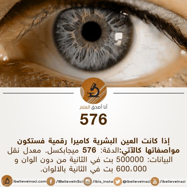  مجرد ارقام !! 10289.image737475767778