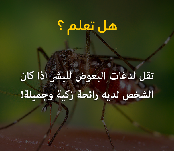 معلومات ثقافية عامة - صفحة 31 90439.11196331_10152780521275770_8961701521762783442_n