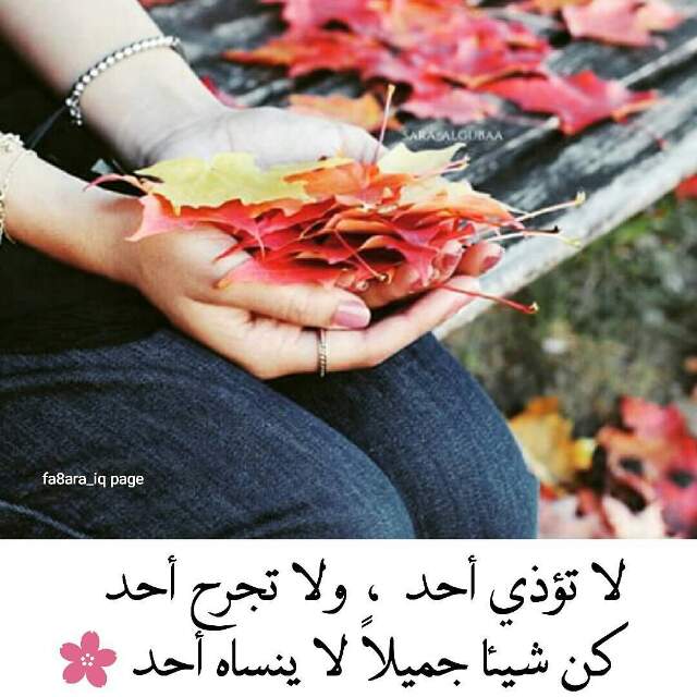 ●₪ مــــــزاجك "بصـــــورة" ₪● - صفحة 88 64253.ftomh_20161222_210318