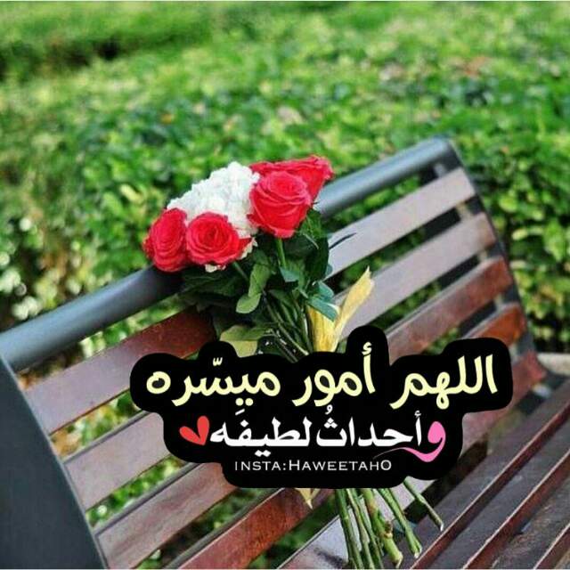 ●₪ مــــــزاجك "بصـــــورة" ₪● - صفحة 47 64492.gdyr_albrahym_20161203_015208