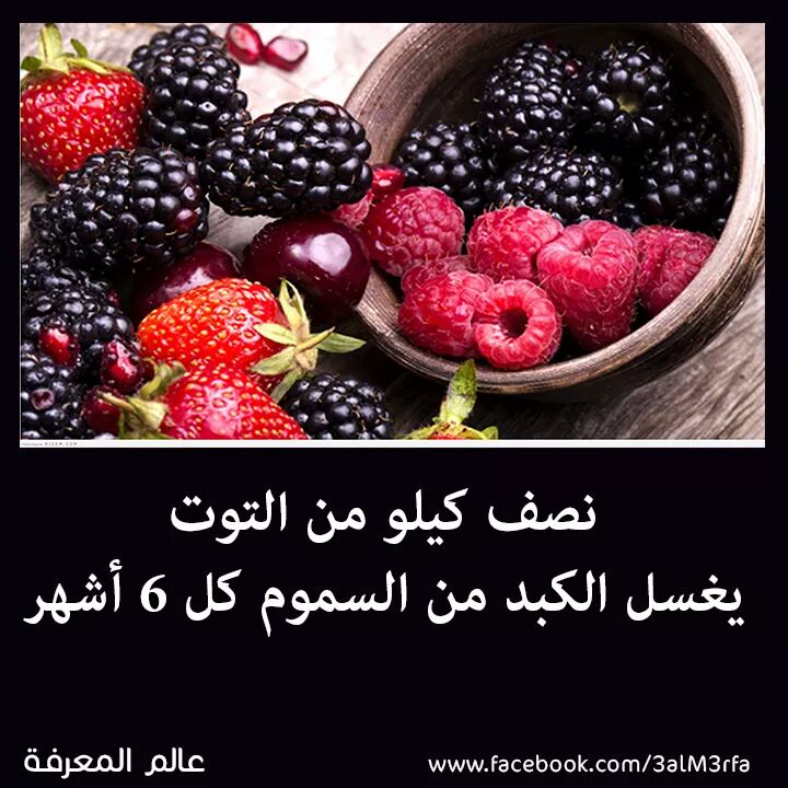 هل تعلم - صفحة 38 93966.fb_img_1486878766161