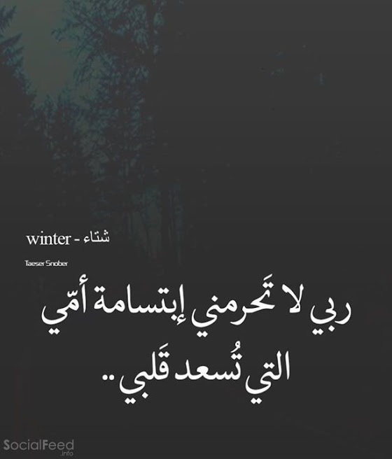 ●₪ مــــــزاجك "بصـــــورة" ₪● - صفحة 28 95486.socialfeed.info-winter-07-16-2016