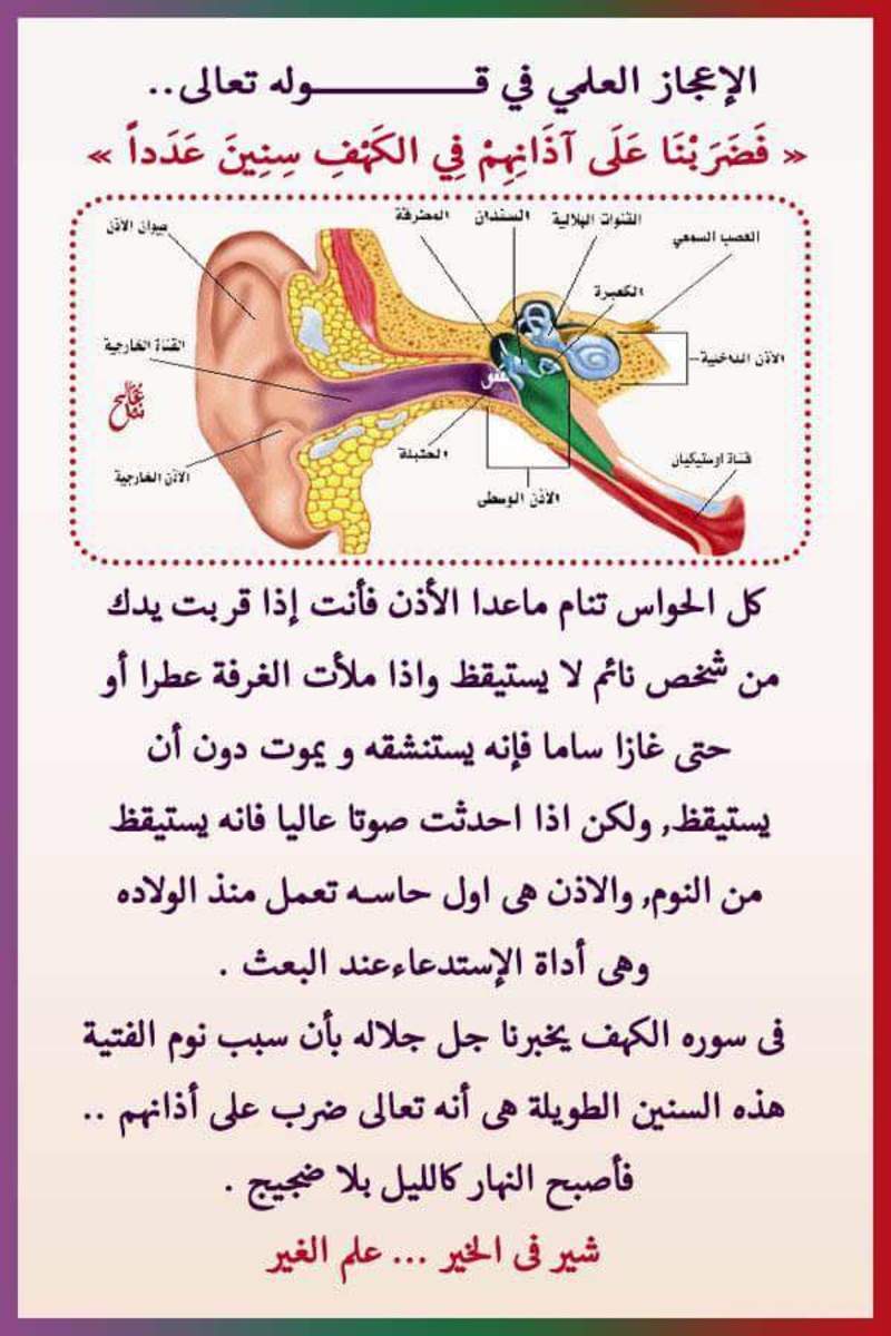 هل تعلم - صفحة 44 93966.fb_img_1488880375877