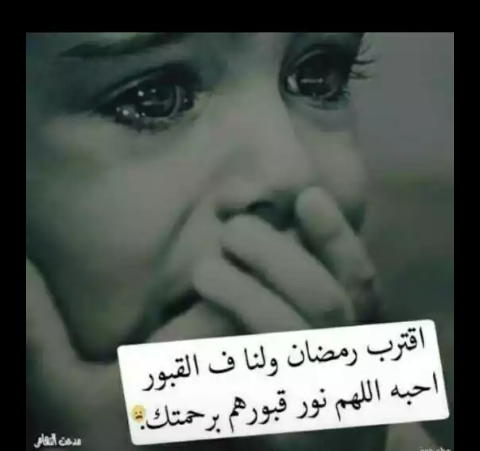 زينة الحياة الدنيا .. - صفحة 91 85190.screenshot_____-____-____-____-____-____-179