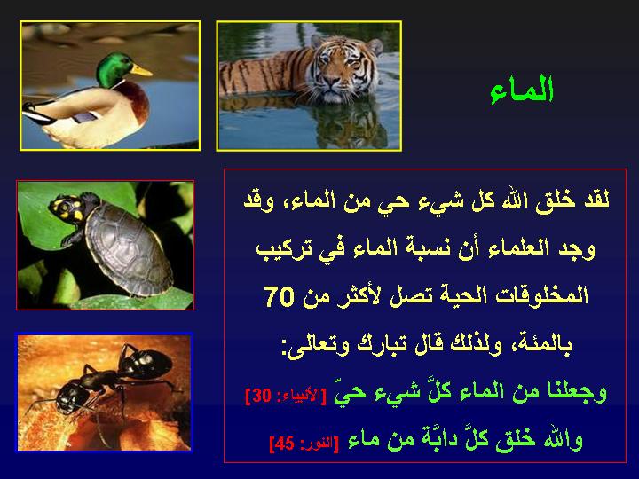  نصائح طبيه  .. - صفحة 68 107202.88slide610_1_