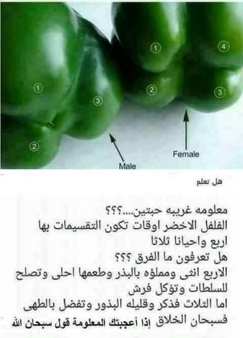  نصائح طبيه  .. - صفحة 63 93966.fb_img_1513882401999