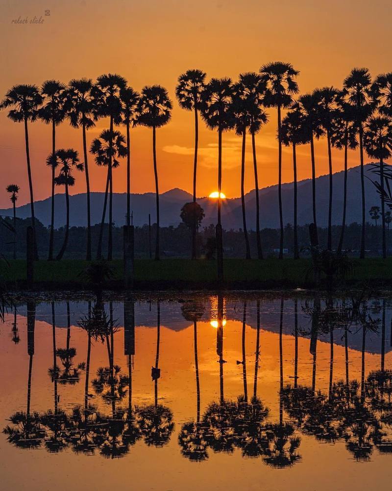 بستان ورد المصــــــــراوية - صفحة 84 105881.ig_fotografdiyari-32