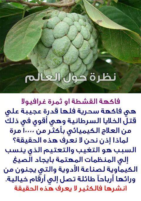 هل تعلم - صفحة 93 28149.fb_img_1521104194340