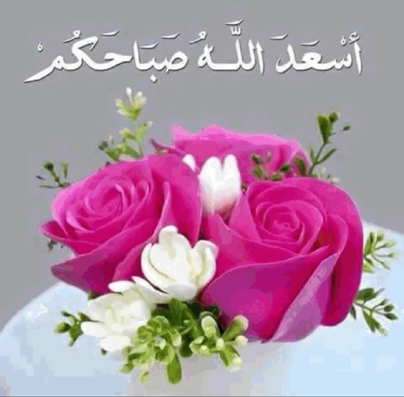 أسعد الله صباحكم ...و .. مساؤكم خيرات . - صفحة 78 43394.8aac30b23086d281903cc951657dd3c5