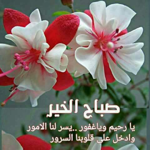 أسعد الله صباحكم ...و .. مساؤكم خيرات . - صفحة 78 43394.received_563402780705011